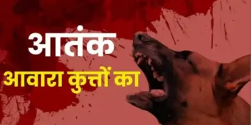 Dog Attack