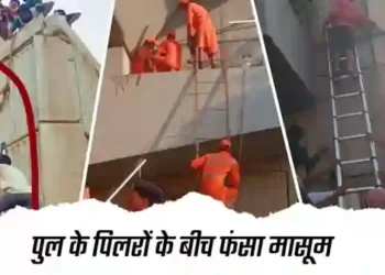 Boy trapped in Sone bridge