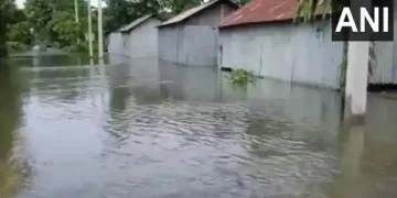 Flood