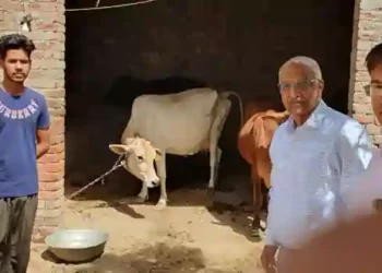 Vaccination campaign