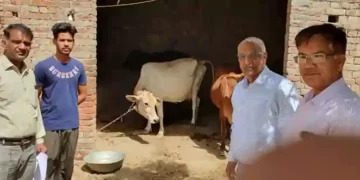 Vaccination campaign