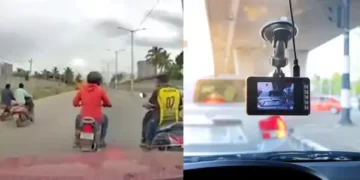 Biker Gangs