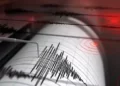 Indonesia Earthquake