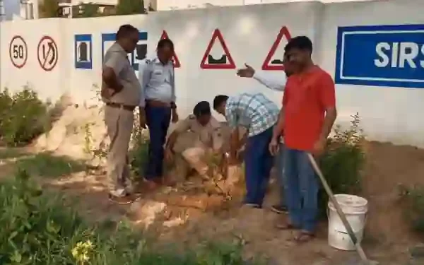 Baba Sarsai Nath Sewa