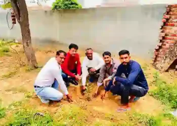 Animal Husbandry Department