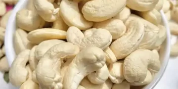 Benefits of Cashew Nuts