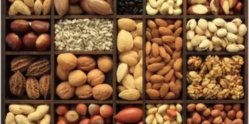 Dry Fruits Health Benefits