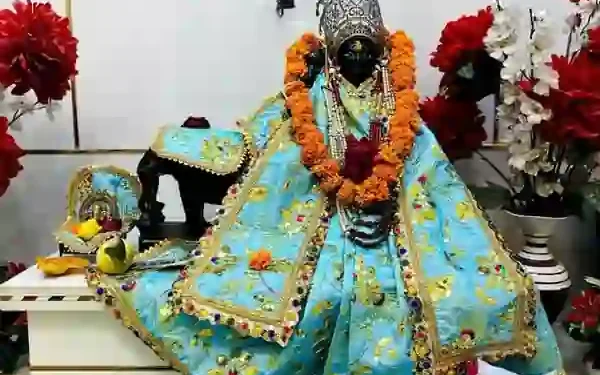 हरियाली अमावस्या पर शनि जन्मोत्सव समारोह