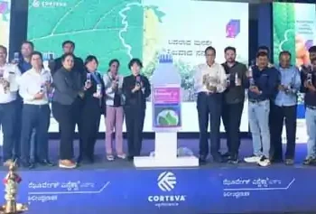 अंगूर और आलू