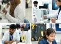 Galgotias University