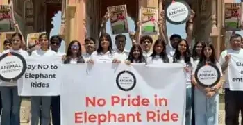 World Animal Protection
