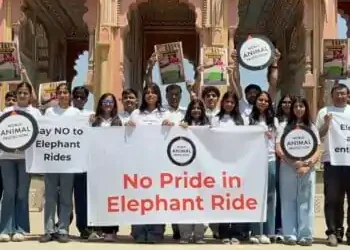 World Animal Protection