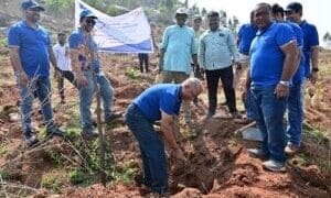 Tree Plantation