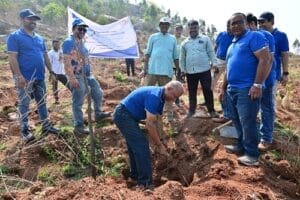 Tree Plantation