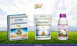 Atul
