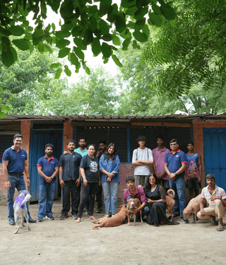 Zigly Foundation's Community Feeding Initiative Crosses 5,000 Kg Mark, Reaching Dogs Across Shelters and Communities